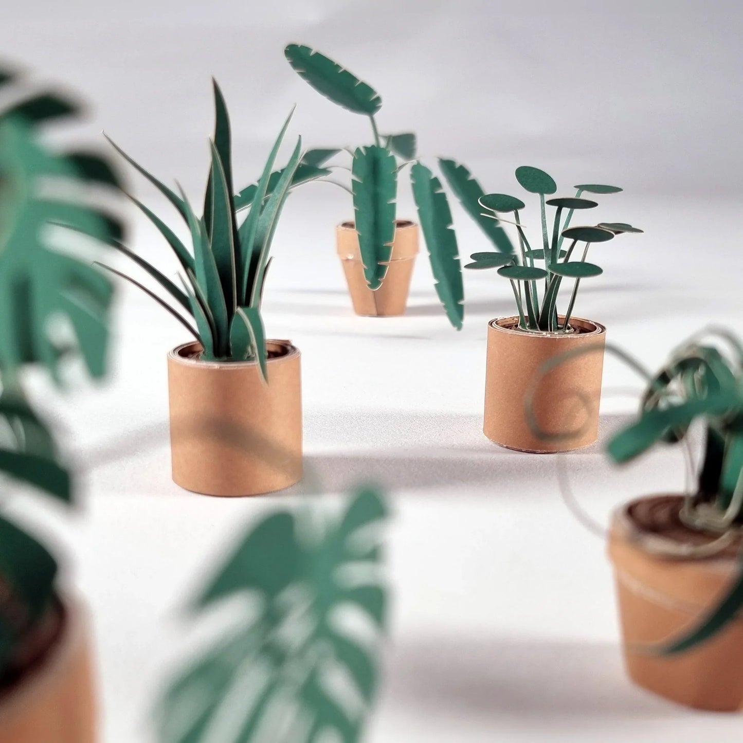 🪴✨Easy DIY Paper Plants Kit | Guided Lines & Instructions Included 🎁Buy More Save More