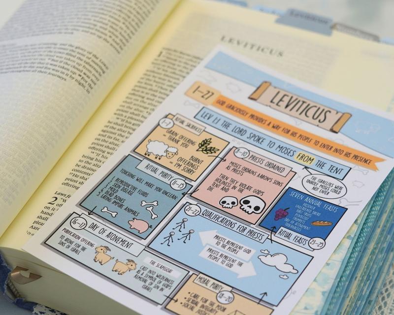 🔥LAST DAY 49% OFF✝️Scribble and Scripture Bible Study Tip-Ins📚75 Premium Bible Study Inserts