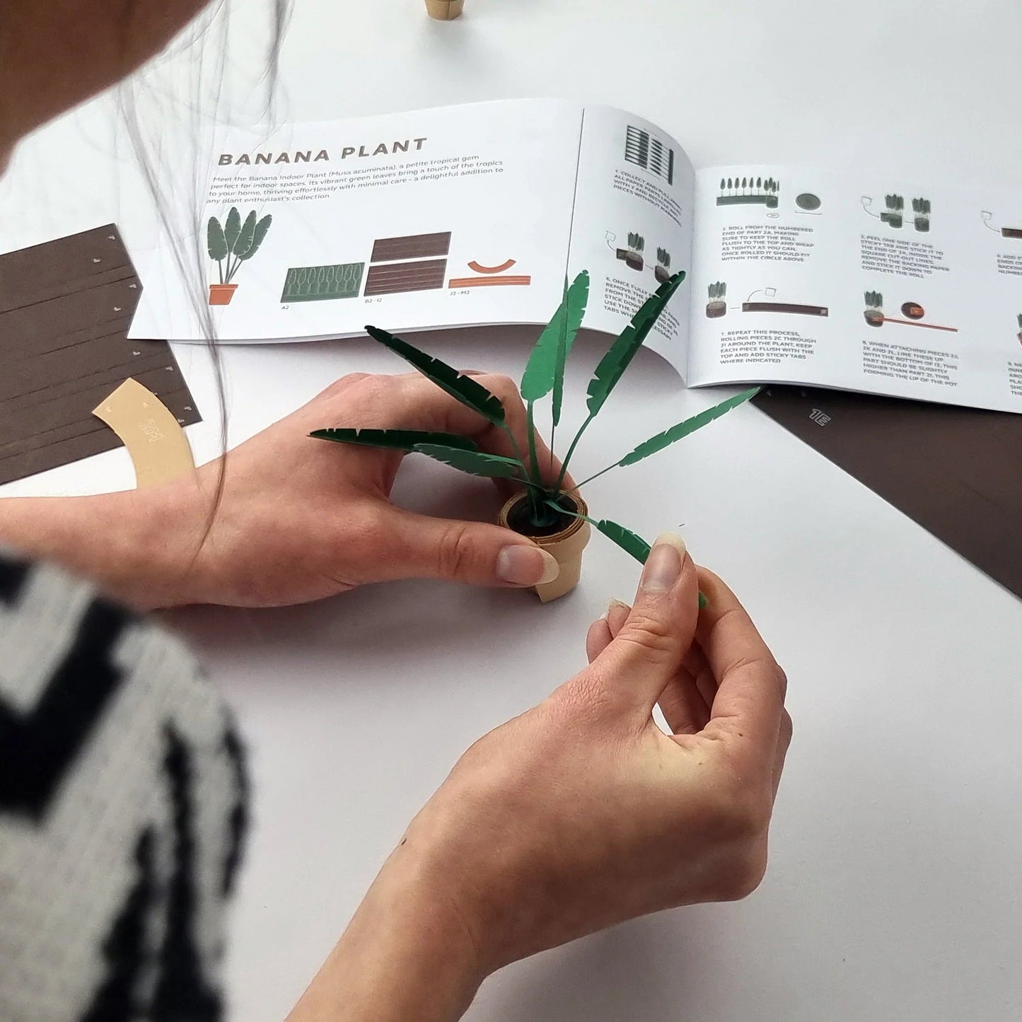 🪴✨Easy DIY Paper Plants Kit | Guided Lines & Instructions Included 🎁Buy More Save More
