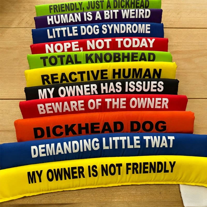 🔥Last 4 hours Sale: Save 49%- 🐕Bold Bark Lead Sleeves(❤The essential for every dog lover)