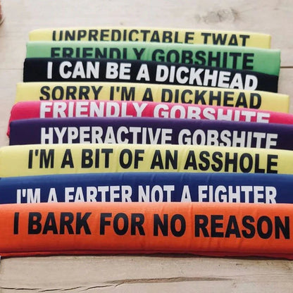 🔥Last 4 hours Sale: Save 49%- 🐕Bold Bark Lead Sleeves(❤The essential for every dog lover)