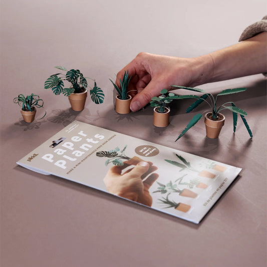 🪴✨Easy DIY Paper Plants Kit | Guided Lines & Instructions Included 🎁Buy More Save More